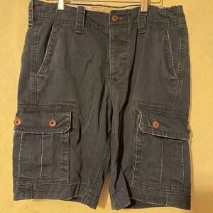 Blue Hollister Cargo Shorts sz 30